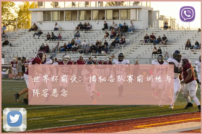 世界杯前夜:揭秘各队赛前训练与阵容悬念