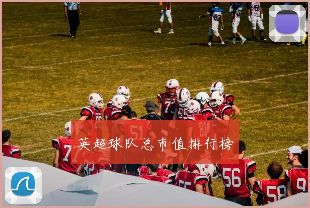 英超球队总市值排行榜