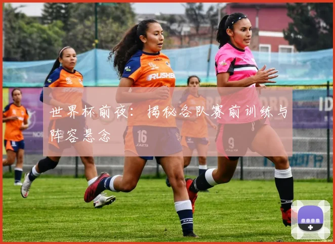 世界杯前夜:揭秘各队赛前训练与阵容悬念