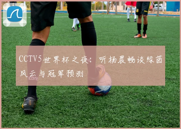 CCTV5世界杯之夜:听杨晨畅谈绿茵风云与冠军预测