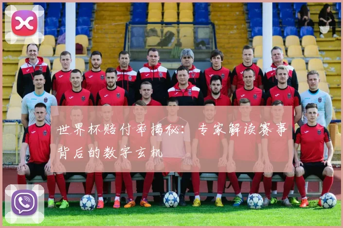 世界杯赔付率揭秘：专家解读赛事背后的数字玄机