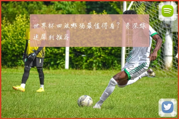世界杯回放哪场最值得看?资深球迷犀利推荐