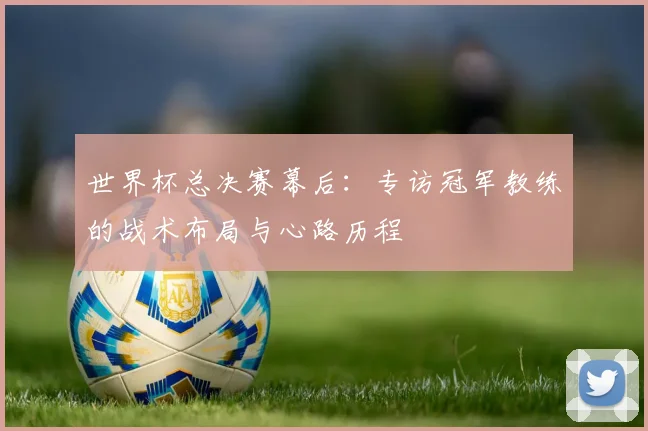 世界杯总决赛幕后:专访冠军教练的战术布局与心路历程