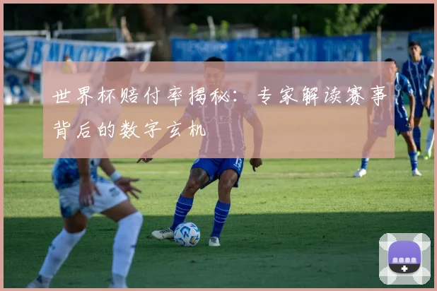 世界杯赔付率揭秘:专家解读赛事背后的数字玄机