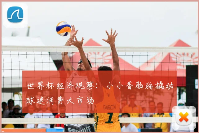 世界杯经济观察:小小香肠狗撬动球迷消费大市场