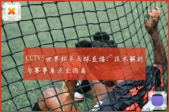 CCTV5世界杯乒乓球直播：技术解析与赛事看点全指南
