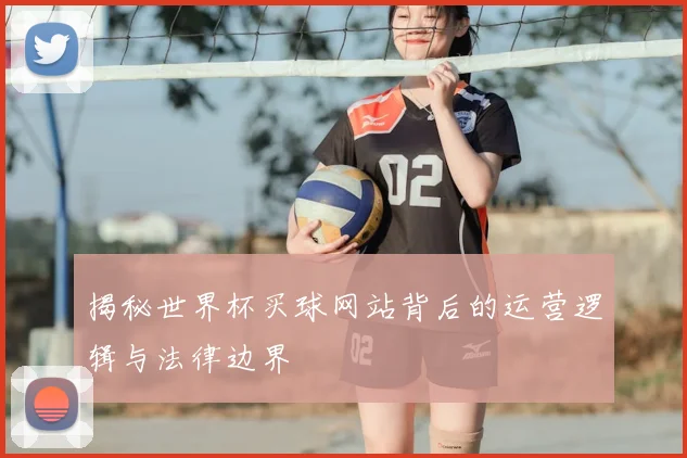 揭秘世界杯买球网站背后的运营逻辑与法律边界